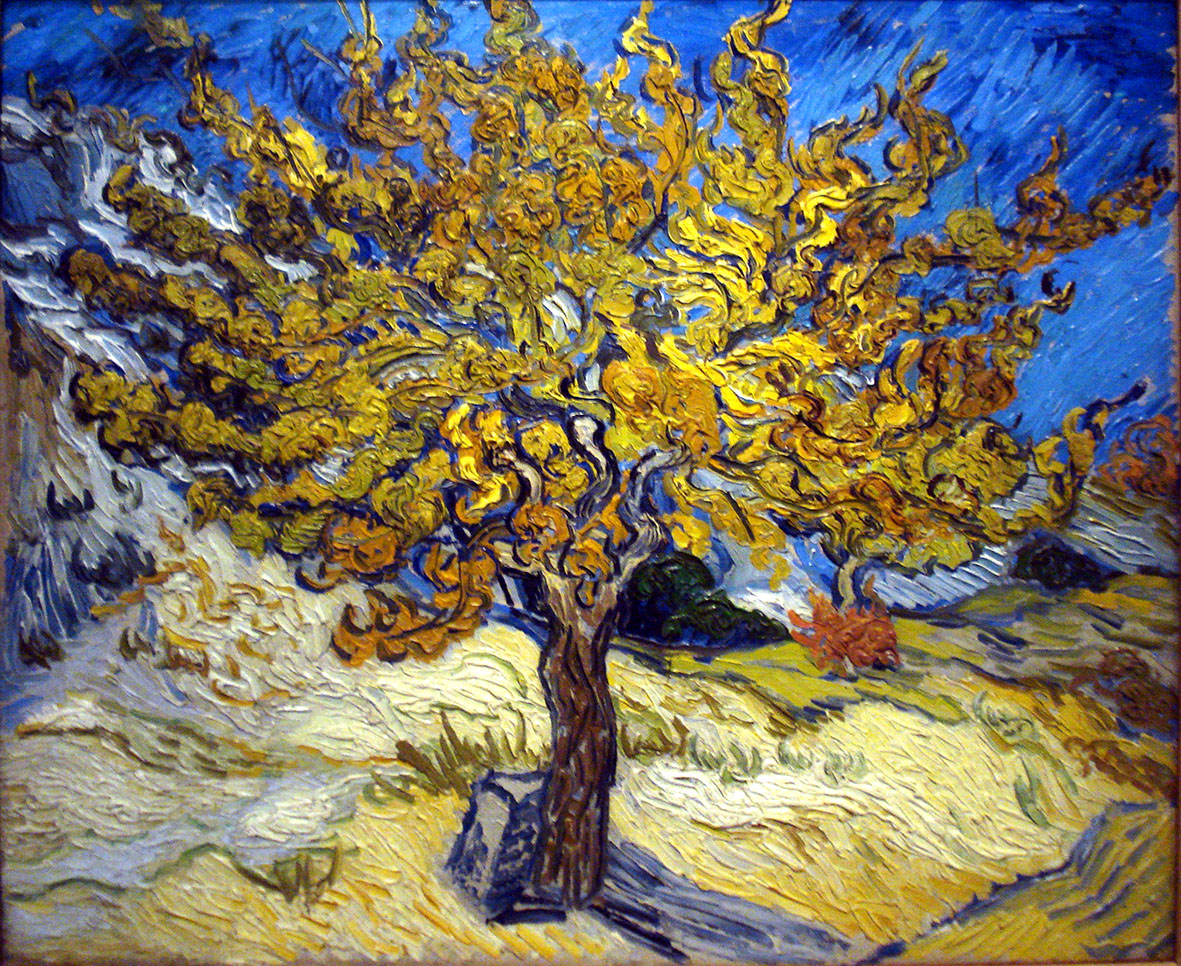 Van Gogh, Albero di gelso